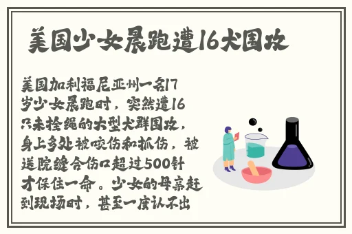 天美果冻麻花大全